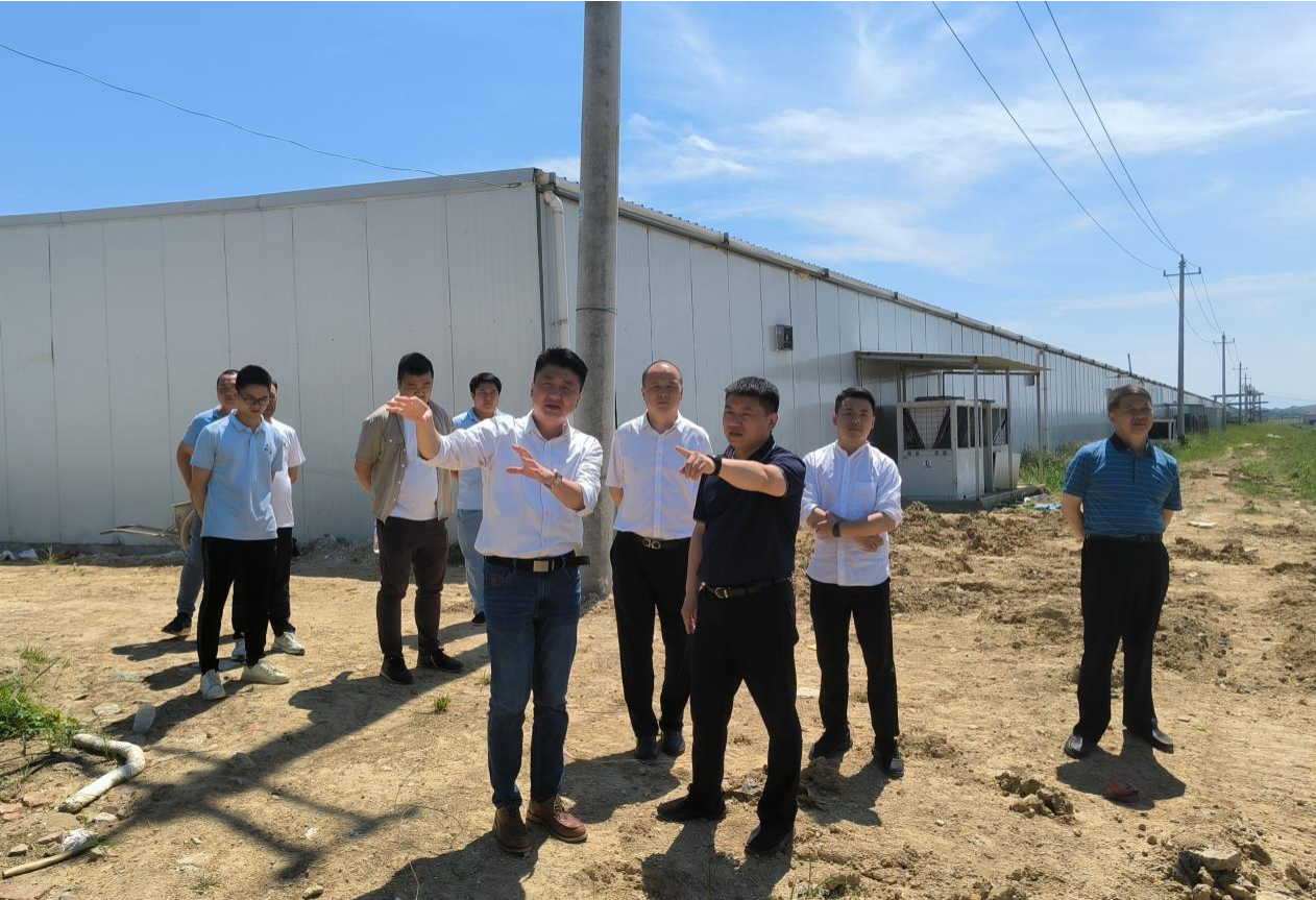 市國控集團黨委書記、董事長張志堅帶隊深入調研鄉(xiāng)村振興項目