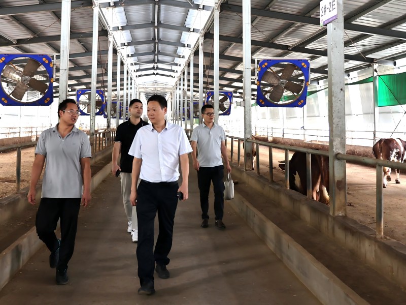 市國(guó)控集團(tuán)開(kāi)展國(guó)慶節(jié)前安全生產(chǎn)檢查